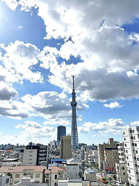 洋室側ルーフバルコニーからの眺望 スカイツリーが目の前に望めます
