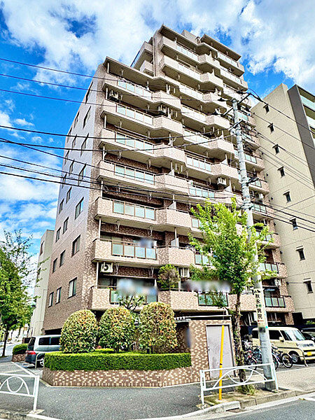 外観：313004546251