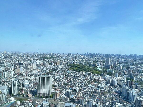 リビングから東京タワーやスカイツリーが眺められます
