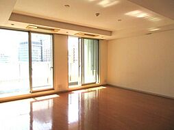 東京ツインパークスレフトウイング 5階1Kの室内