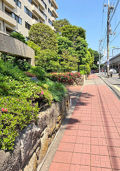 成城学園前駅（徒歩10分）までの道のり。小田急線の高架沿いには見事な大木が並んでいます。