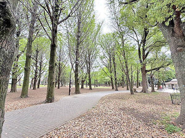 芦花公園