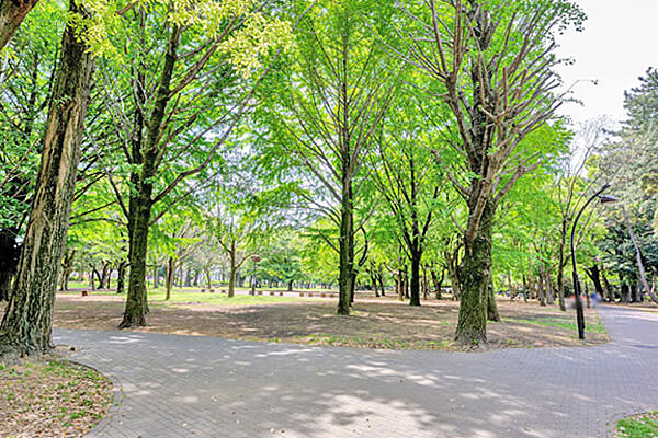 芦花公園