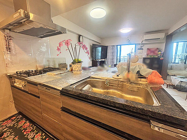 家族との会話が弾むカウンターキッチン。食器洗浄乾燥機付きで家事負担を軽減します。