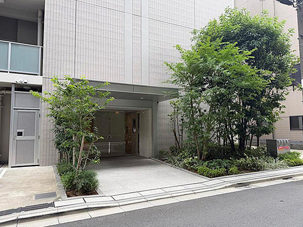 エントランス前には常緑樹が一年を通して緑の潤いを与えます。