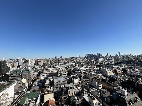 遠くまで広がる東京の街並みを見渡しながら、休日にゆったりとした時間を過ごすのもおすすめです。【共用部/屋上からの眺望】