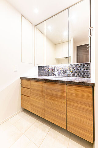 洗面 ザ・パークハウス西新宿タワー60 59階/-