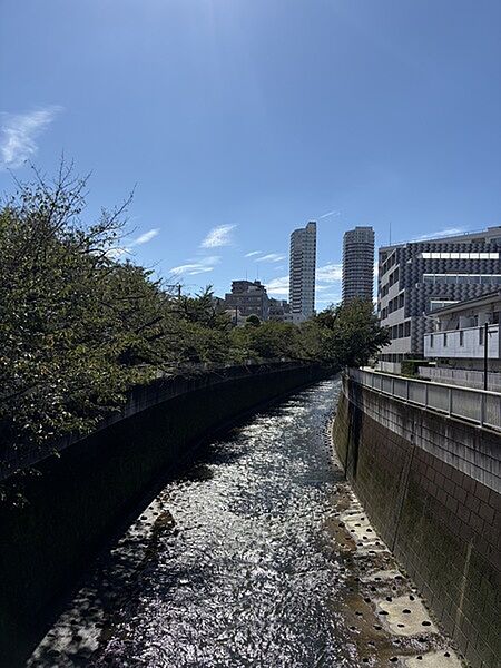 春には神田川沿いの桜がご覧いただけます。