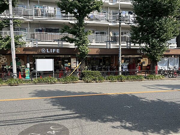 ライフ南台店（約120m）