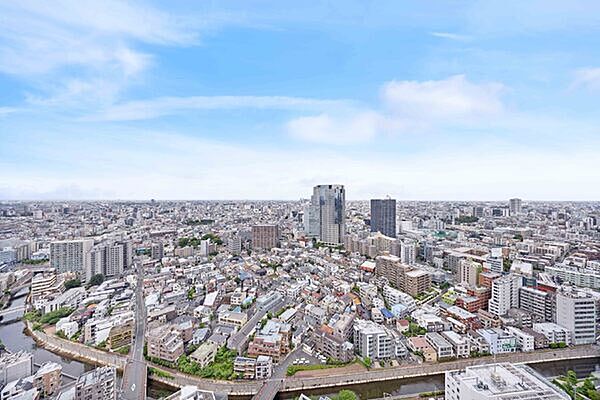 晴れた日には富士山も望めます。外部からの視線が届きにくい、プライバシー性の高さも魅力です。【住戸からの眺望】