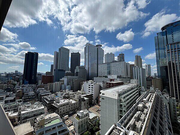 新宿のビル群を望む、ダイナミックな眺望。タワーマンションならではの景色が楽しめます(天候による)。【住戸からの眺望】