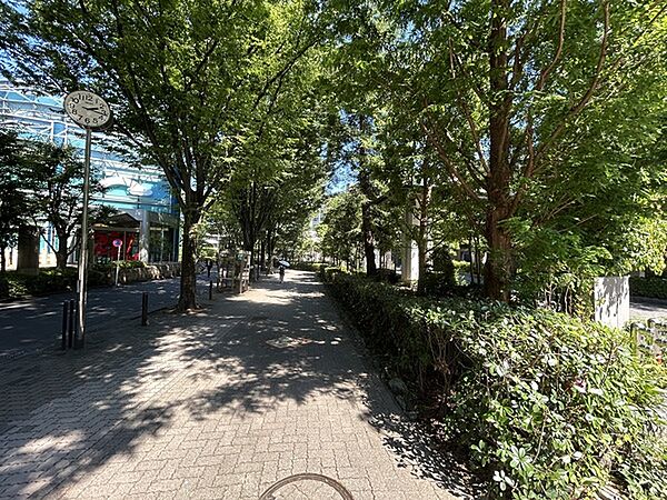 区管理水路（約1m）