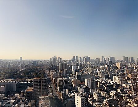 27階住戸から早朝の眺望(木場公園を望む、南方面の眺望)