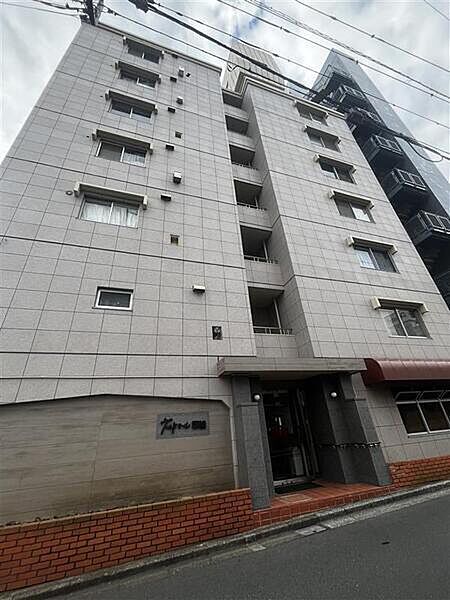 外観：313004540395