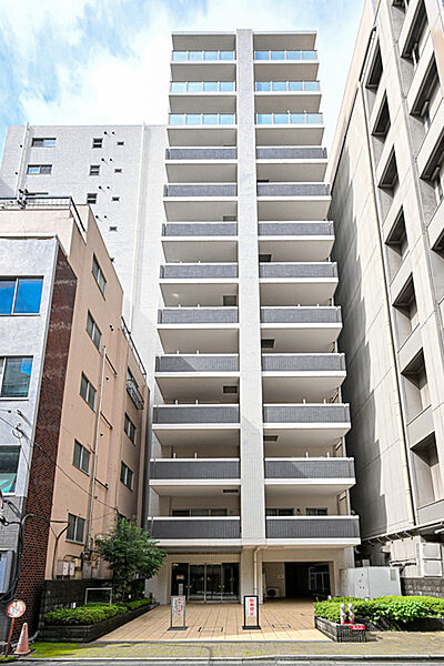 外観：313004928847
