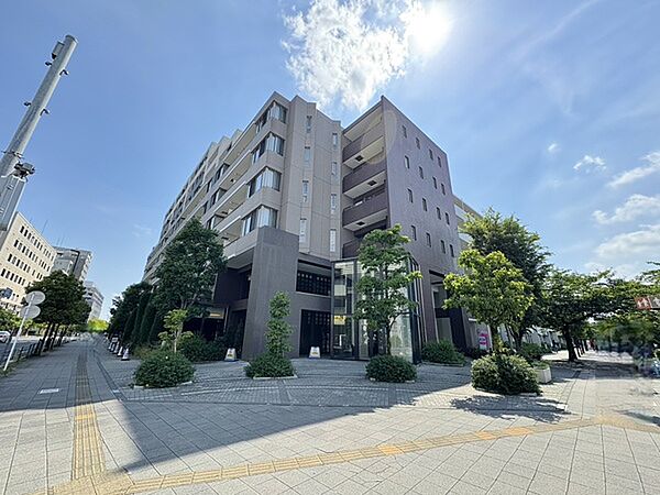 外観：313004740277