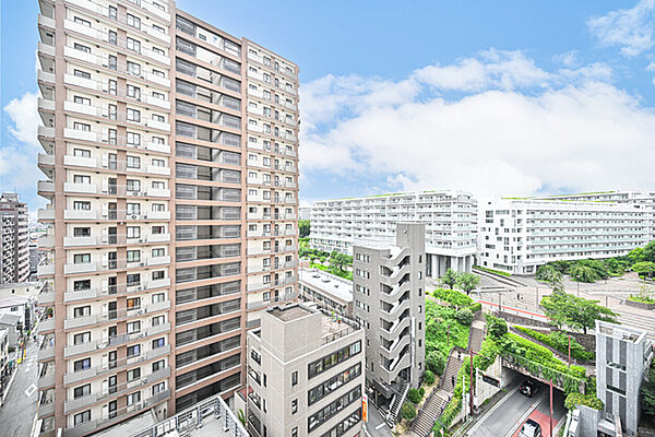 高層階11階部分ならではの開放的な眺望。空の青さと木々の緑が織りなす、美しい景色を日常で楽しめます。