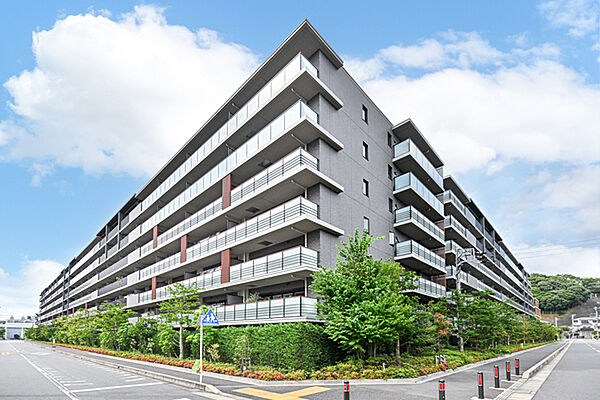 外観：314002821974