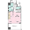 ベルジェンド川崎MIYABIテラス9階2,990万円