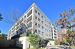 センチュリーフォレスト