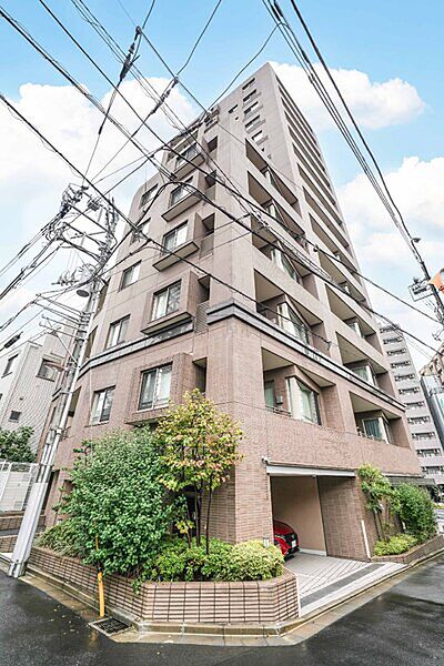 外観：313004698815