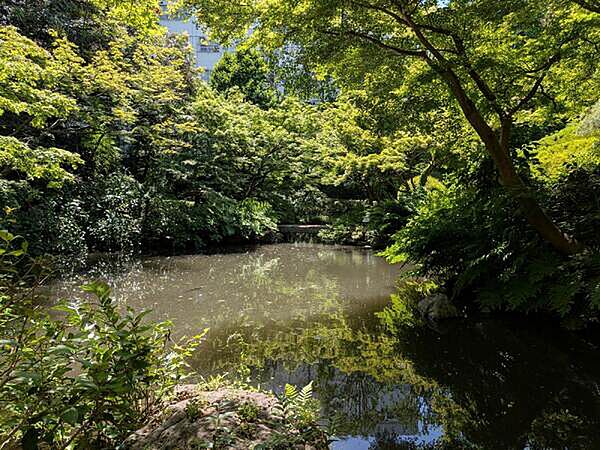 品川区立池田山公園（約800m）
