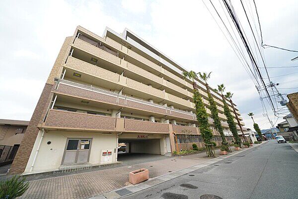 外観：340000282666