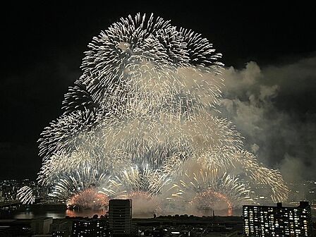 夏には「なにわ淀川花火大会」を鑑賞できます(天候による)。人混みを避け、ゆったりと楽しめそうです。【住戸からの眺望写真】