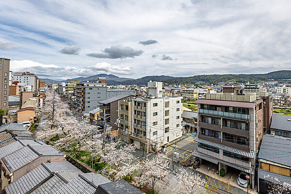 高瀬川沿いに咲く春の桜や秋の紅葉など、四季折々の景色をお楽しみいただけます(天候による)。【住戸からの眺望写真】