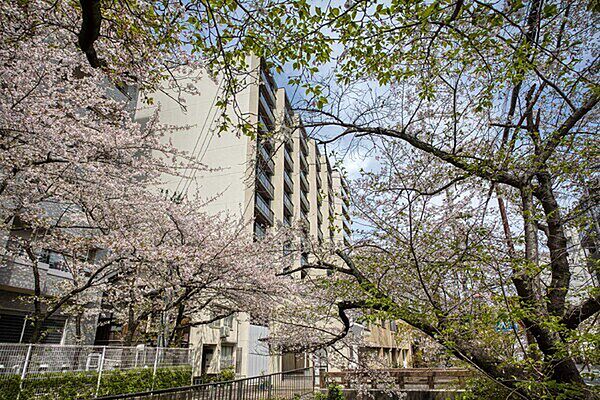 外観：326000243362