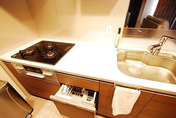 ※販売対象に家具・調度品は含まれません。家事負担を軽減する食器洗乾燥機や浄水器が搭載され、使いやすい仕様です。
