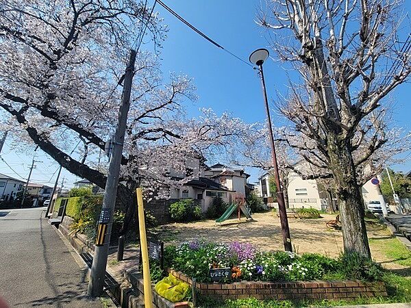 ひなぎく公園（約30m）