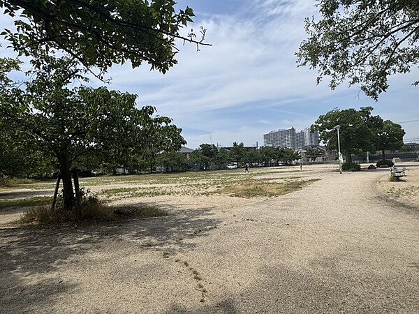 高木公園（約20m）