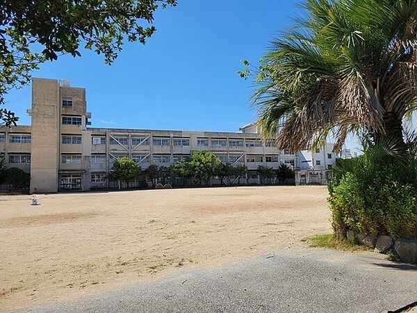 西宮市立瓦木小学校（約580m）