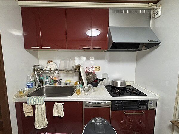 ※販売対象に家具・調度品は含まれません。家事をサポートしてくれる食器洗乾燥機付き。食後の片付けの時間を短縮できます。
