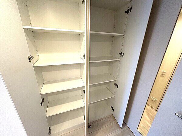 キッチン横にございます収納になります。