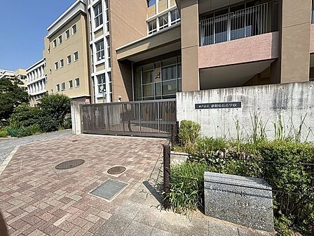 神戸市立夢野の丘小学校（約900m）
