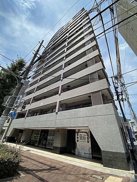 食器洗乾燥機・浄水器など、家事の効率化に寄与する設備が揃っています。全洋室に収納スペースがあります。【現地外観写真】