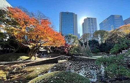 小石川後楽園 640m