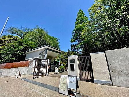 小石川植物園 1320m