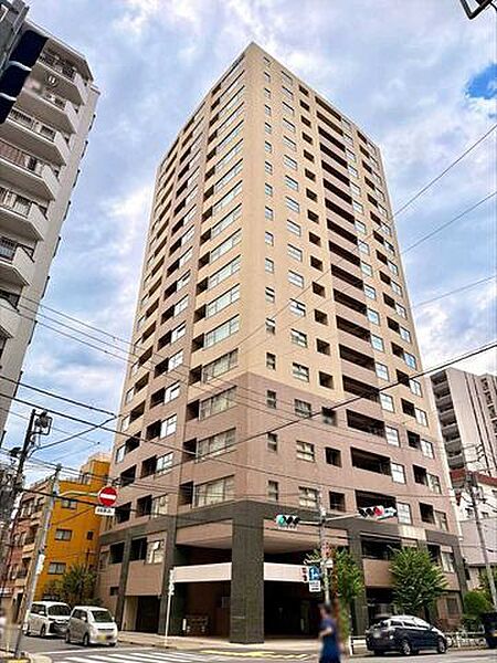 外観：313004819101