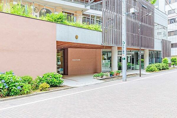 中央区立中央小学校 227m