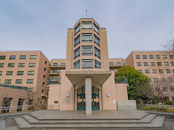 聖路加国際大学 380m