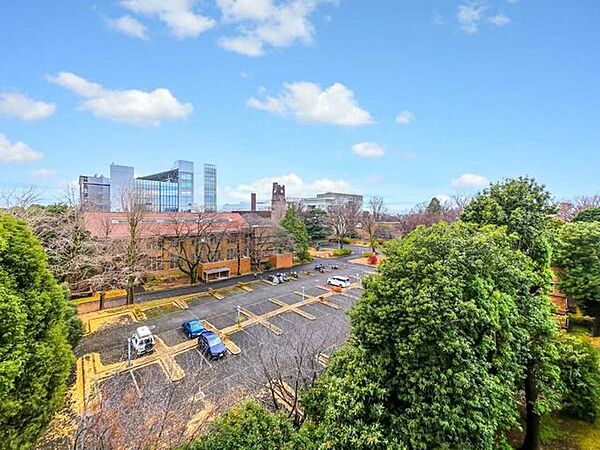 南側リビングダイニングからの眺望、東京大学緑をのぞみます。