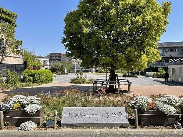 上池袋くすの木公園 330m
