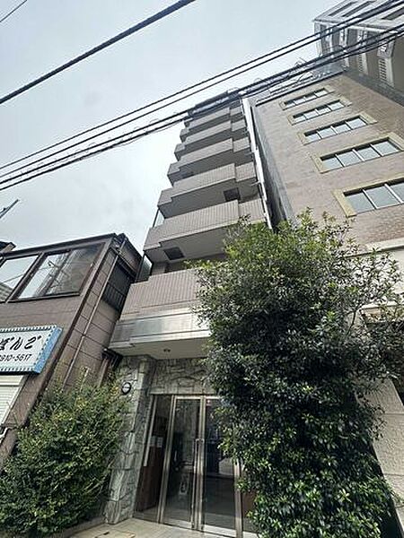 外観：313004895257