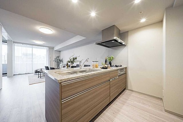 キッチン THE パームス月島ルナガーデン 8階/-