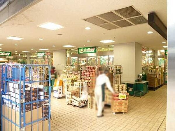 スーパー文化堂月島店 330m