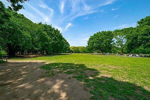 都立 代々木公園 580m