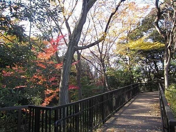 新宿区立おとめ山公園 200m